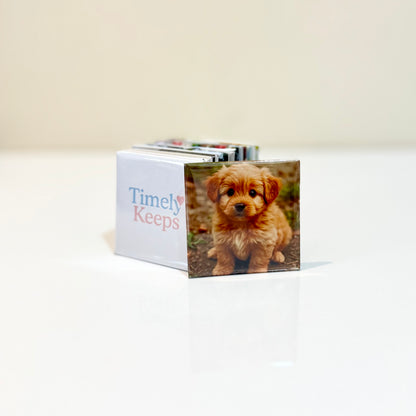 Set of 9 Premium Personalised Glossy Photo Magnets